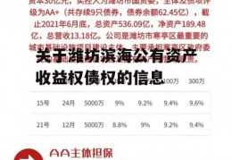 关于潍坊滨海公有资产收益权债权的信息