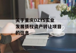 关于重庆DZYS实业发展债权资产转让项目的信息