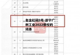 包含红码9号-遂宁广利工业2022债权的词条