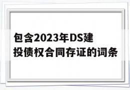 包含2023年DS建投债权合同存证的词条