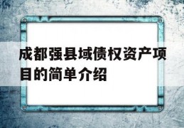 成都强县域债权资产项目的简单介绍