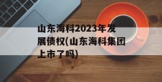 山东海科2023年发展债权(山东海科集团上市了吗)