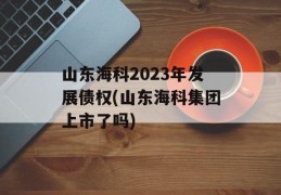 山东海科2023年发展债权(山东海科集团上市了吗)