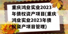 重庆鸿业实业2023年债权资产项目(重庆鸿业实业2023年债权资产项目管理)