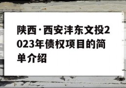 陕西·西安沣东文投2023年债权项目的简单介绍