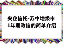 央企信托-苏中地级市1年期政信的简单介绍