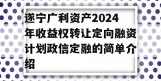 遂宁广利资产2024年收益权转让定向融资计划政信定融的简单介绍