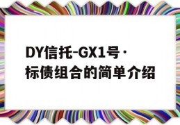 DY信托-GX1号·标债组合的简单介绍