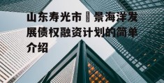 山东寿光市昇景海洋发展债权融资计划的简单介绍