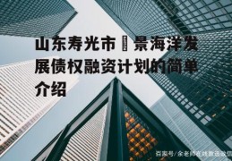 山东寿光市昇景海洋发展债权融资计划的简单介绍