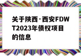 关于陕西·西安FDWT2023年债权项目的信息