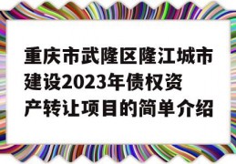 重庆市武隆区隆江城市建设2023年债权资产转让项目的简单介绍