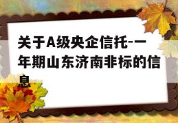 关于A级央企信托-一年期山东济南非标的信息