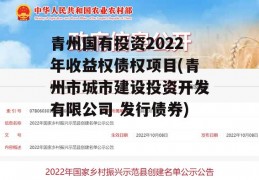 青州国有投资2022年收益权债权项目(青州市城市建设投资开发有限公司 发行债券)