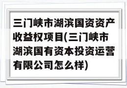 三门峡市湖滨国资资产收益权项目(三门峡市湖滨国有资本投资运营有限公司怎么样)