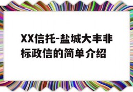 XX信托-盐城大丰非标政信的简单介绍