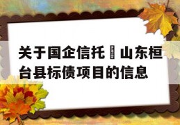 关于国企信托•山东桓台县标债项目的信息