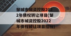 邹城市城资控股2022年债权转让项目(邹城市城资控股2022年债权转让项目招标)