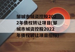 邹城市城资控股2022年债权转让项目(邹城市城资控股2022年债权转让项目招标)