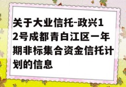 关于大业信托-政兴12号成都青白江区一年期非标集合资金信托计划的信息