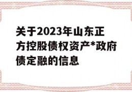 关于2023年山东正方控股债权资产*政府债定融的信息