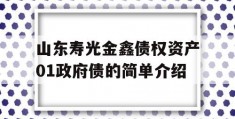 山东寿光金鑫债权资产01政府债的简单介绍