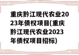 重庆黔江现代农业2023年债权项目(重庆黔江现代农业2023年债权项目招标)