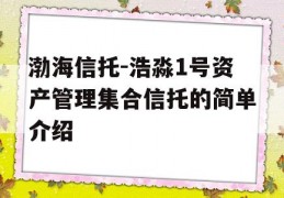 渤海信托-浩淼1号资产管理集合信托的简单介绍