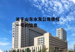 关于山东水发公用债权一号的信息