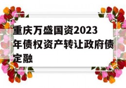 重庆万盛国资2023年债权资产转让政府债定融