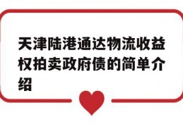 天津陆港通达物流收益权拍卖政府债的简单介绍