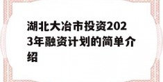 湖北大冶市投资2023年融资计划的简单介绍