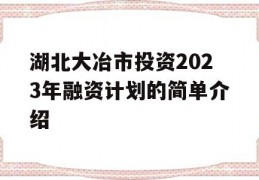 湖北大冶市投资2023年融资计划的简单介绍