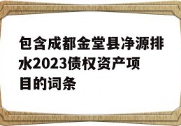 包含成都金堂县净源排水2023债权资产项目的词条