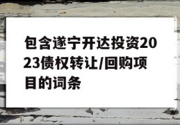 包含遂宁开达投资2023债权转让/回购项目的词条