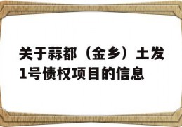 关于蒜都（金乡）土发1号债权项目的信息