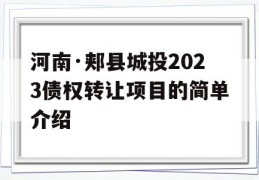 河南·郏县城投2023债权转让项目的简单介绍