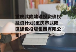 重庆武隆建设投资债权融资计划(重庆市武隆区建设投资集团有限公司)