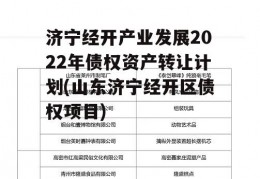 济宁经开产业发展2022年债权资产转让计划(山东济宁经开区债权项目)