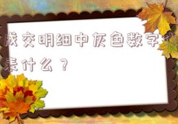 成交明细中灰色数字代表什么？