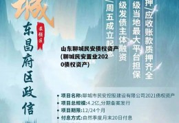 山东聊城民安债权资产(聊城民安置业2020债权资产)