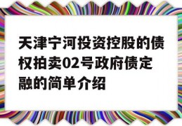 天津宁河投资控股的债权拍卖02号政府债定融的简单介绍