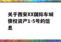 关于西安XX国际车城债权资产1-5号的信息