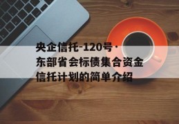 央企信托-120号·东部省会标债集合资金信托计划的简单介绍