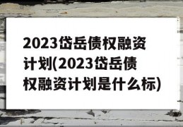 2023岱岳债权融资计划(2023岱岳债权融资计划是什么标)