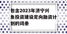 包含2023年济宁兴鱼投资建设定向融资计划的词条