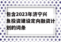 包含2023年济宁兴鱼投资建设定向融资计划的词条