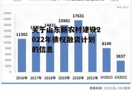 关于山东新农村建设2022年债权融资计划的信息