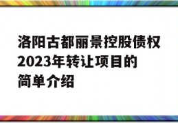 洛阳古都丽景控股债权2023年转让项目的简单介绍