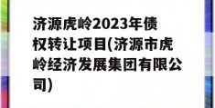 济源虎岭2023年债权转让项目(济源市虎岭经济发展集团有限公司)